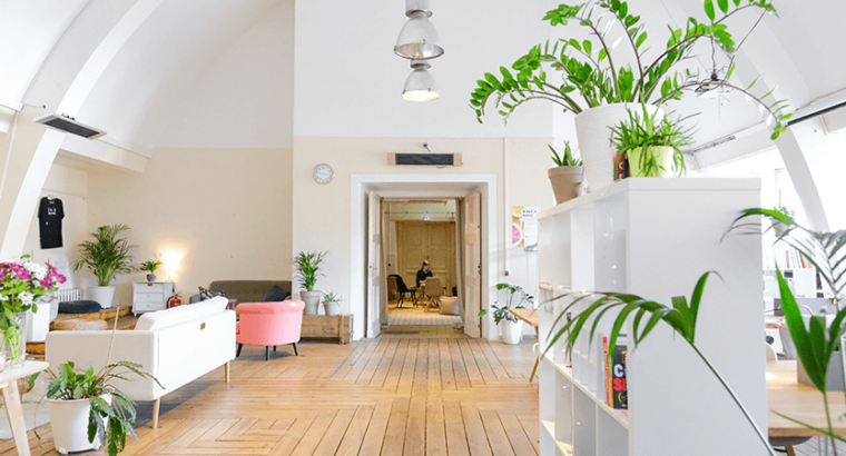 3 كانال فيلا جديدة